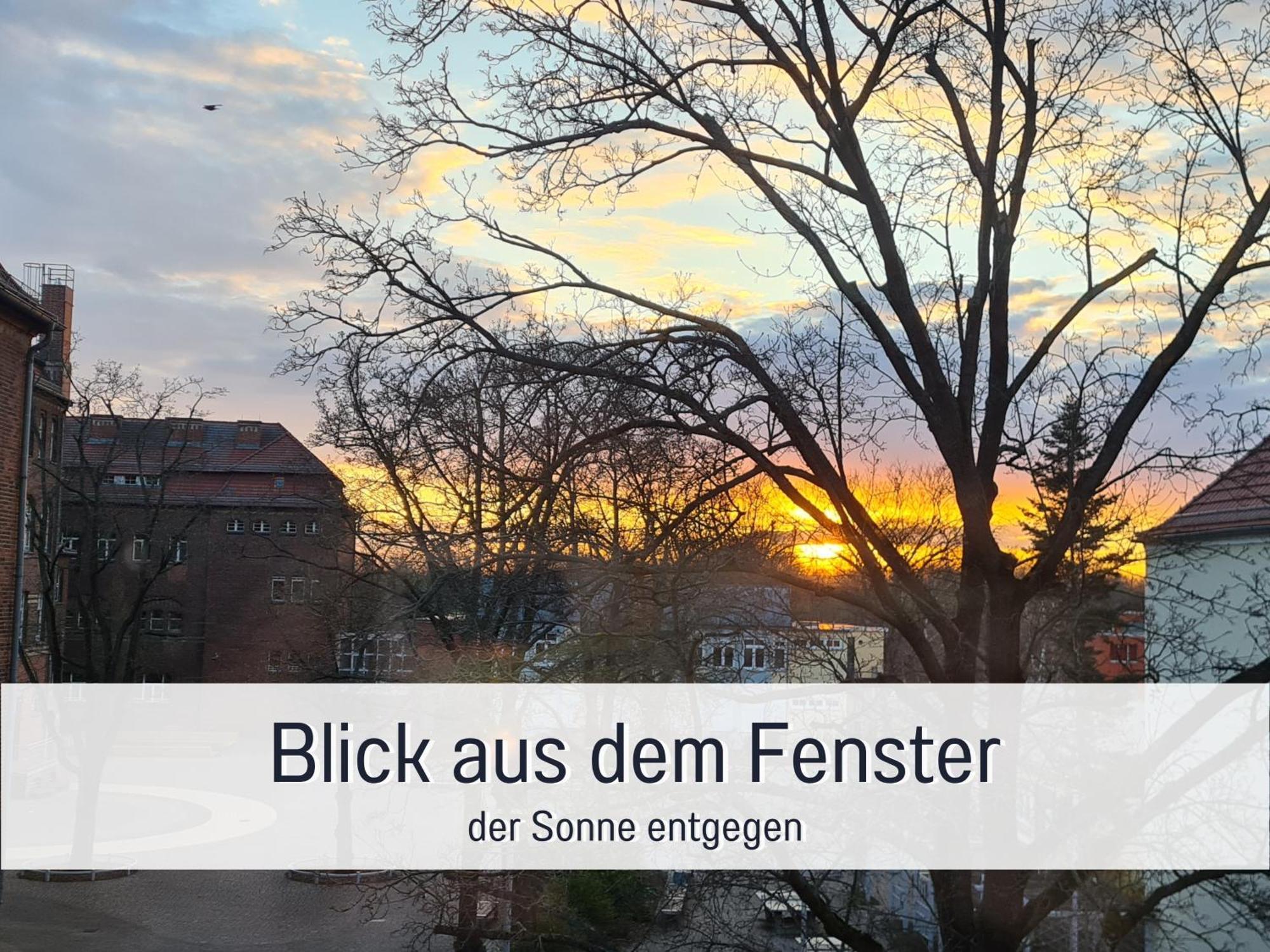 Lichtdurchflutete Moderne Stadtwohnung, Kueche, Waschtrockner, Smarttv ブランデンブルク エクステリア 写真